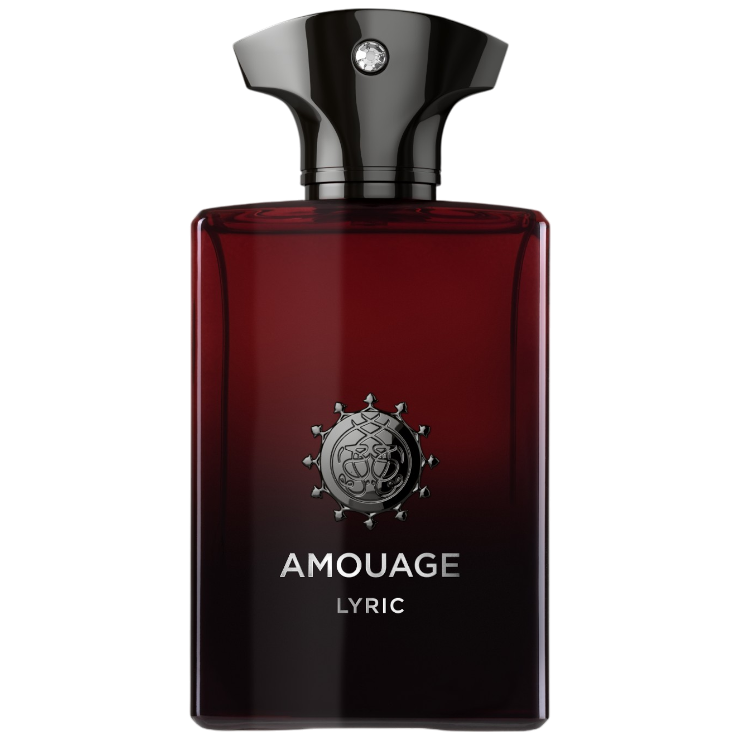 Lyric Men EDP 100ml