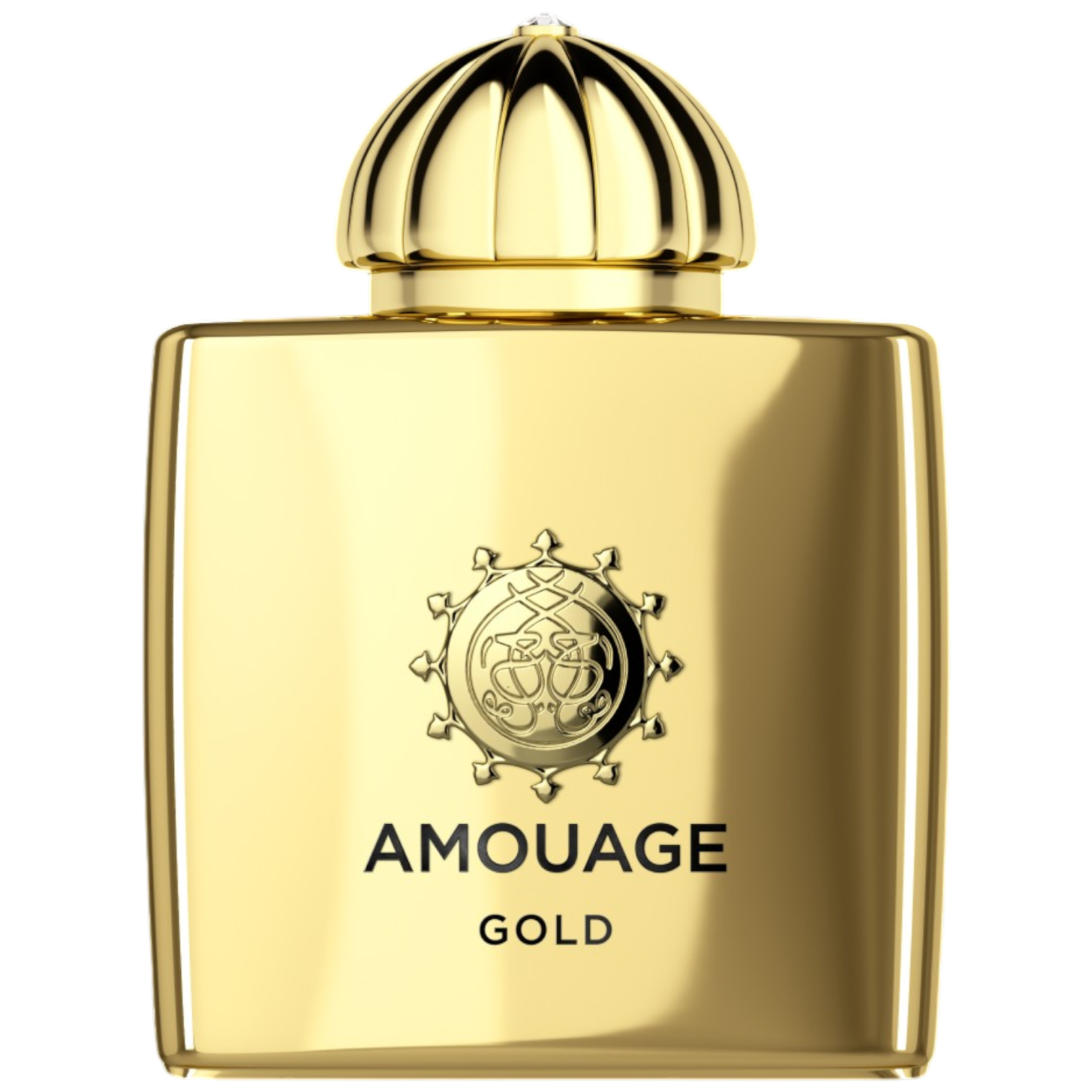 Gold Ladies EDP 100ml NEW BARCODE