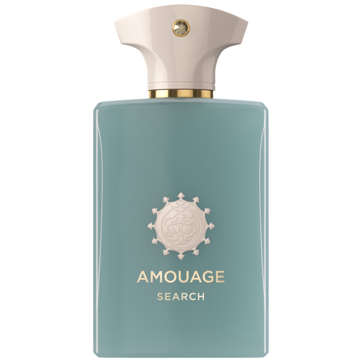 Search 100ml EDP
