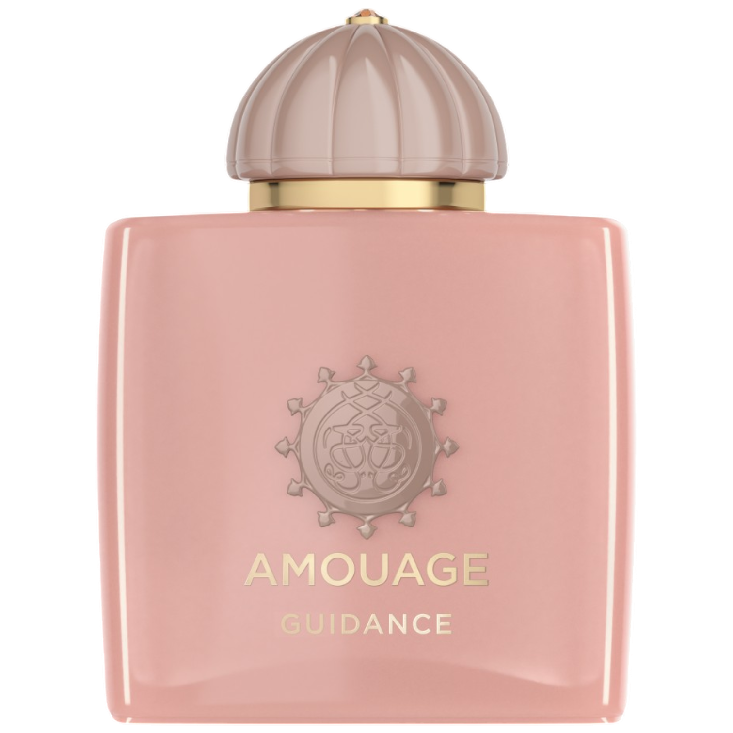 Guidance 100ml EDP