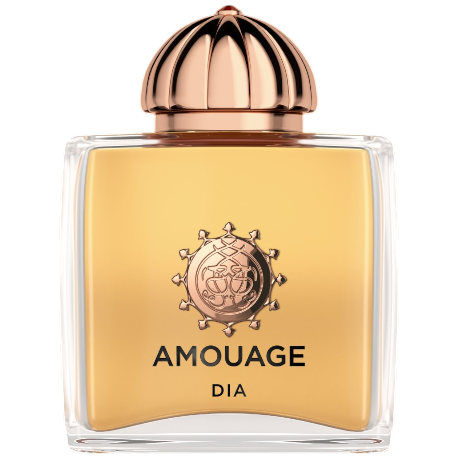 Dia Ladies EDP 100ml