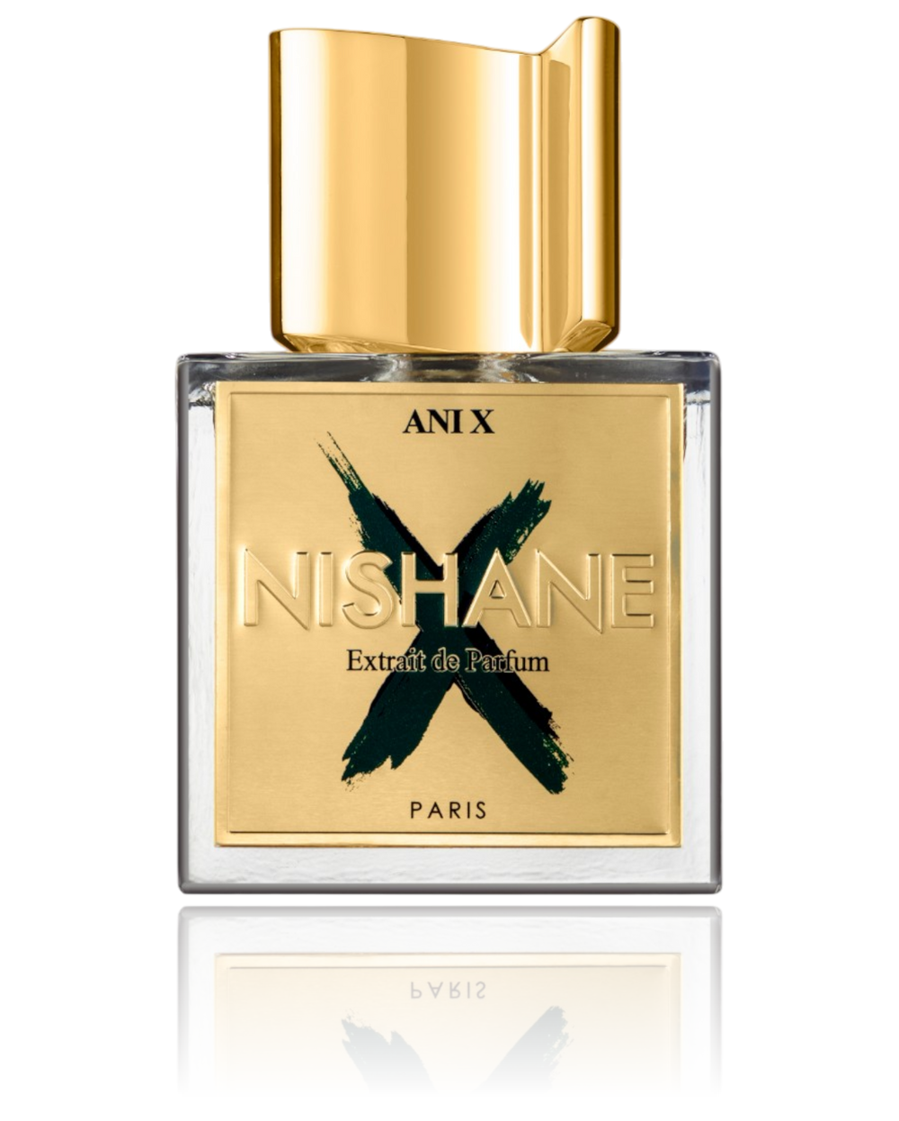 Nishane Ani X 100 ML