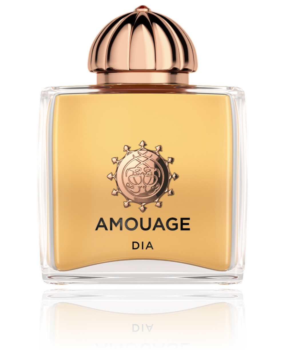 Amouage Dia Ladies EDP 100ML