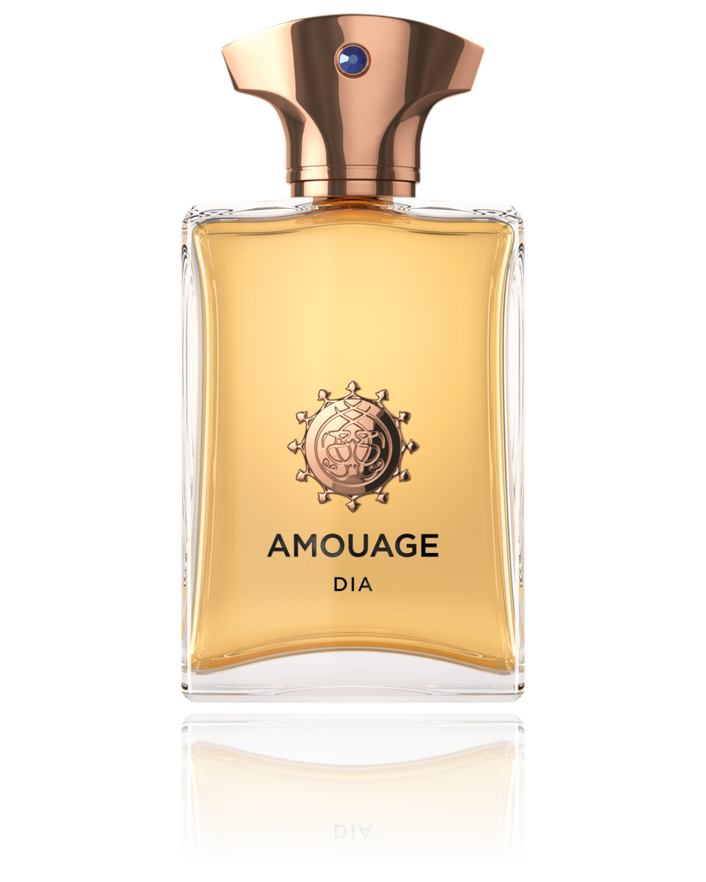 Amouage Dia Men EDP 100ML