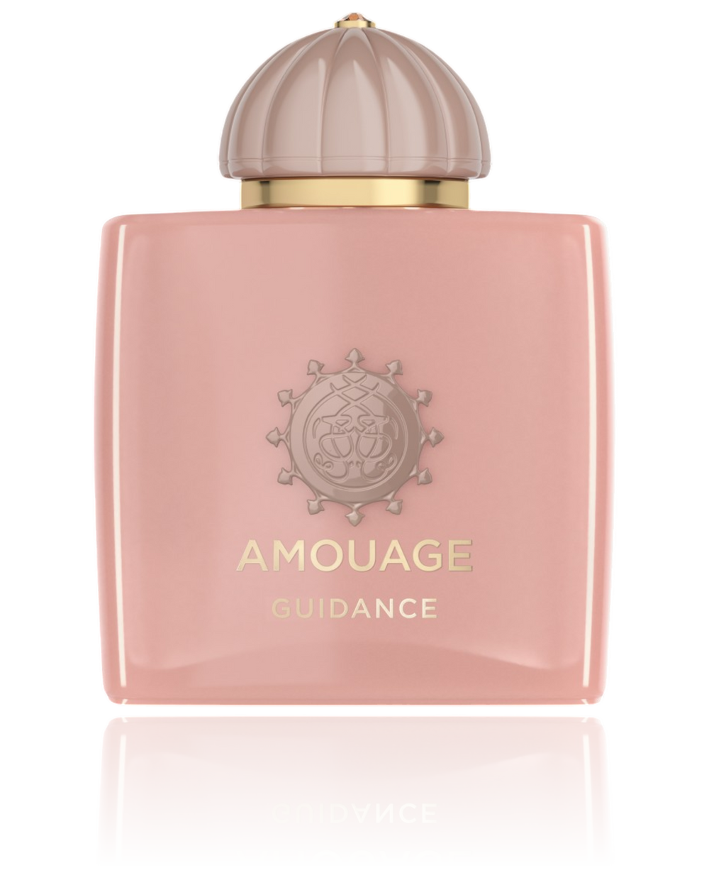 Amouage Guidance 100ML EDP
