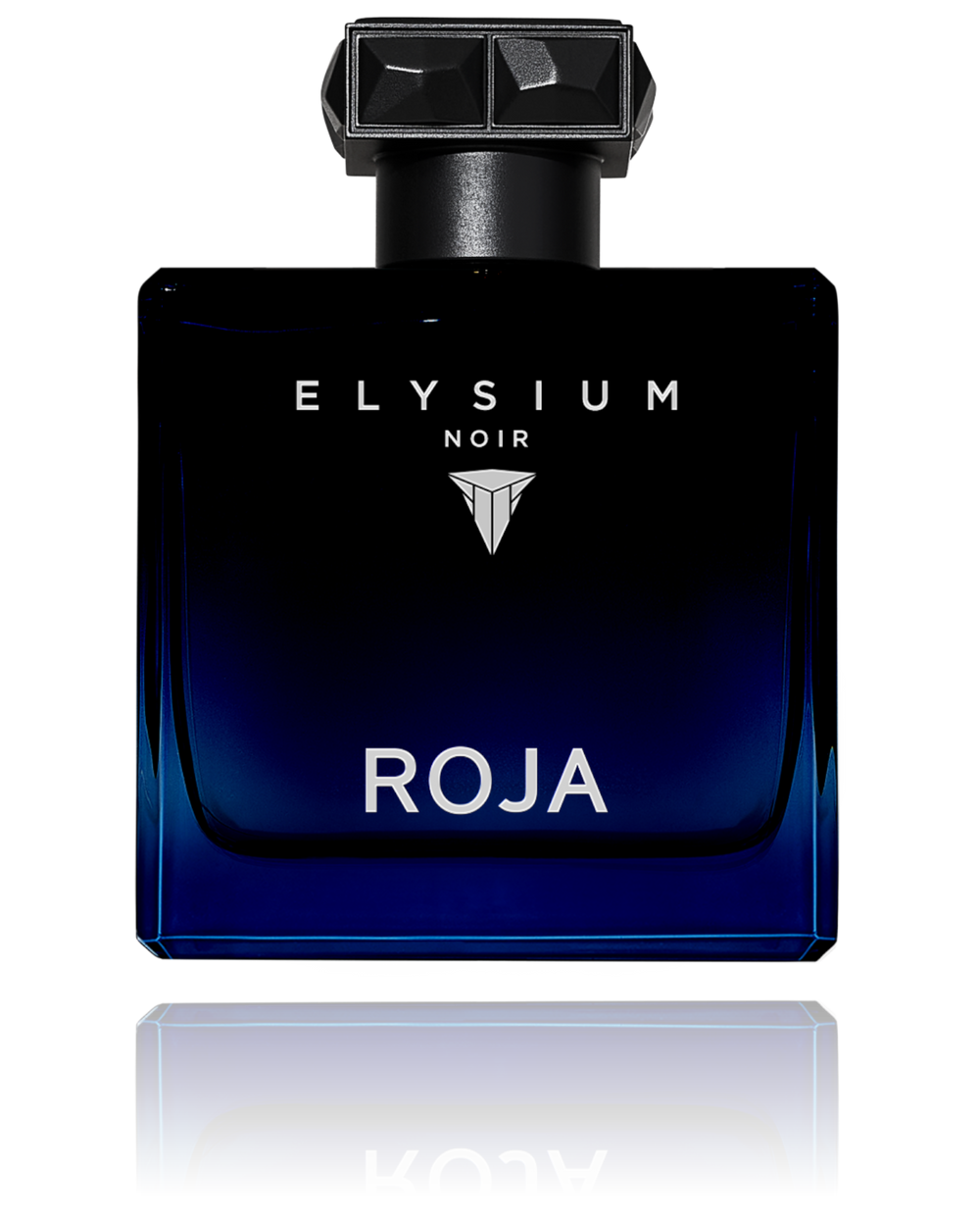 Roja Elysium Noir Pour Homme Eau De Parfum 100ML