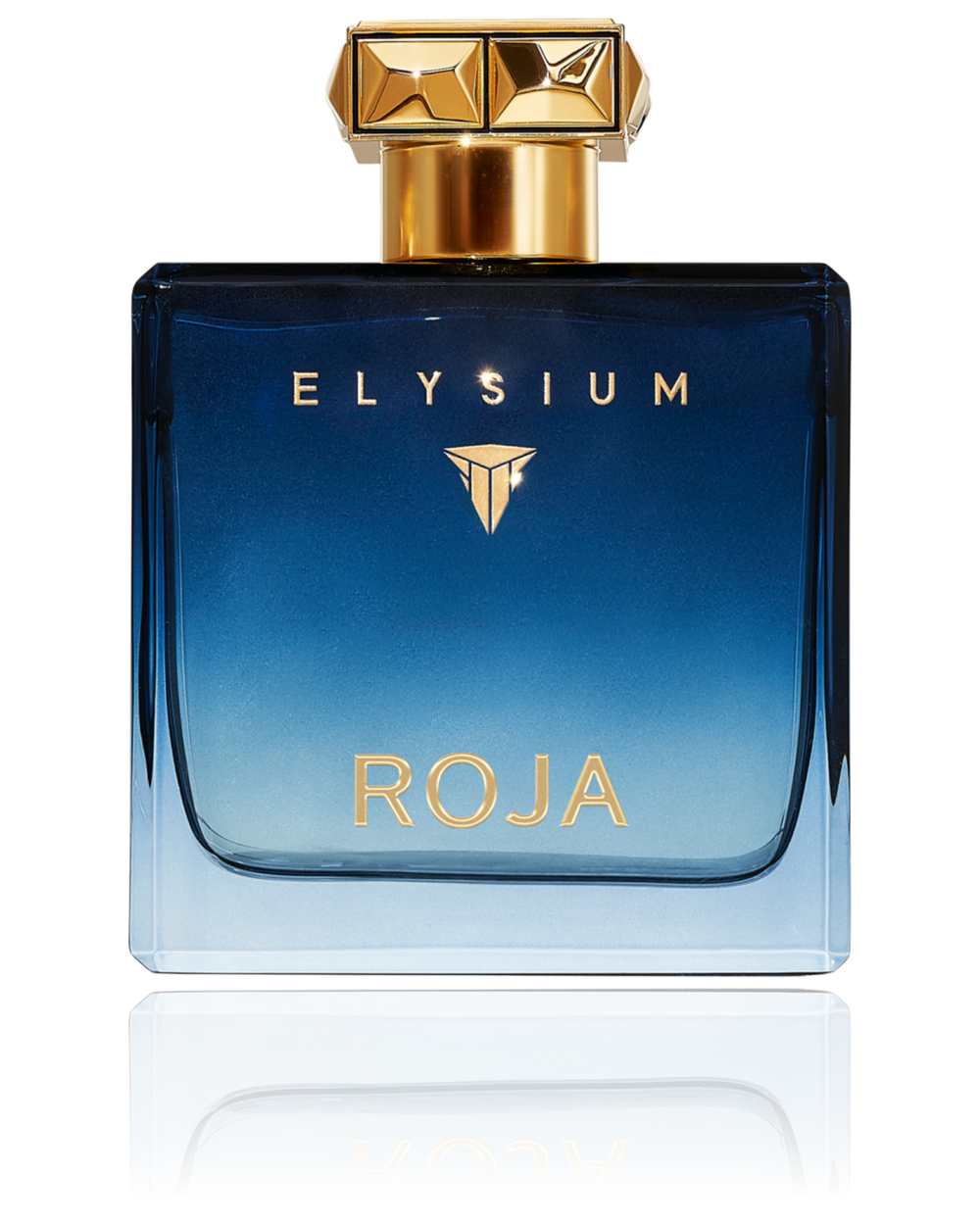 Roja Elysium Pour Homme Eau De Parfum 100ML (new)