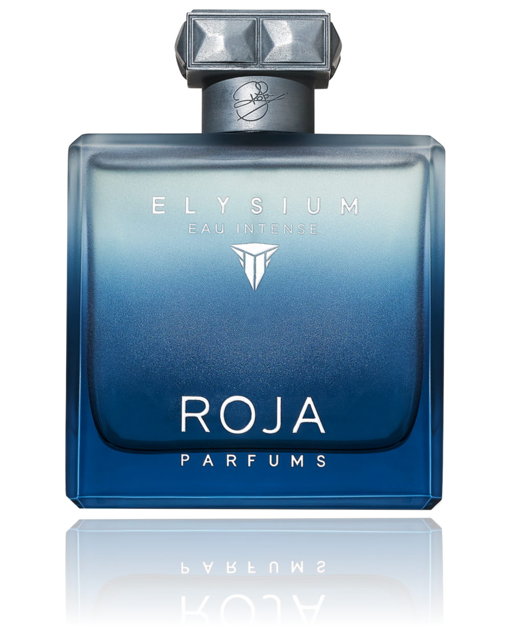 Roja Elysium Eau Intense Pour Homme Eau De Parfum 100ML (new)