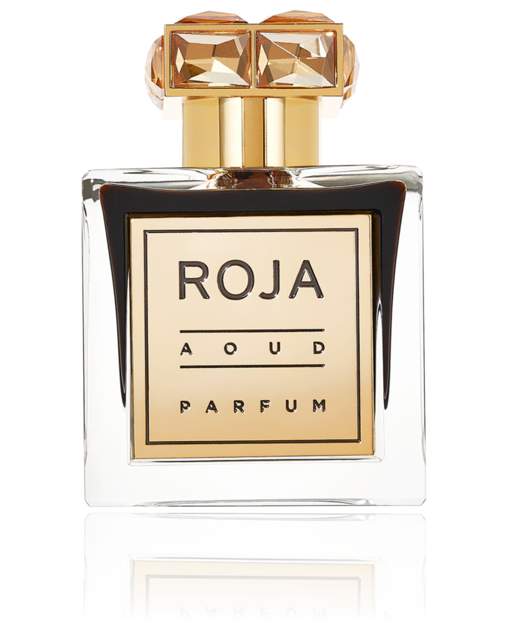Roja Aoud Parfum 100ML (new)