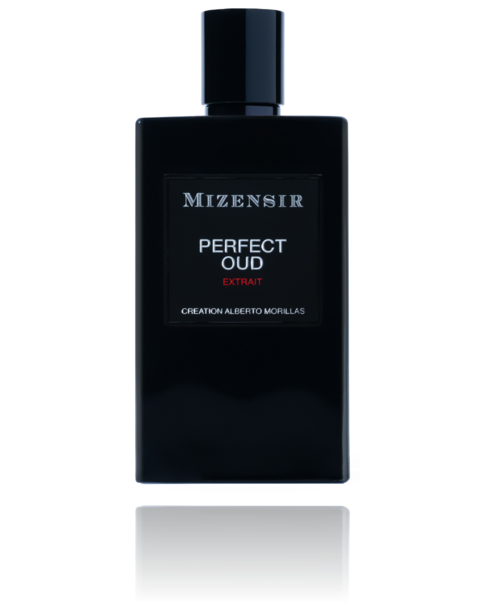 Mizensir Perfect Oud Extrait 100ML EDP Spray