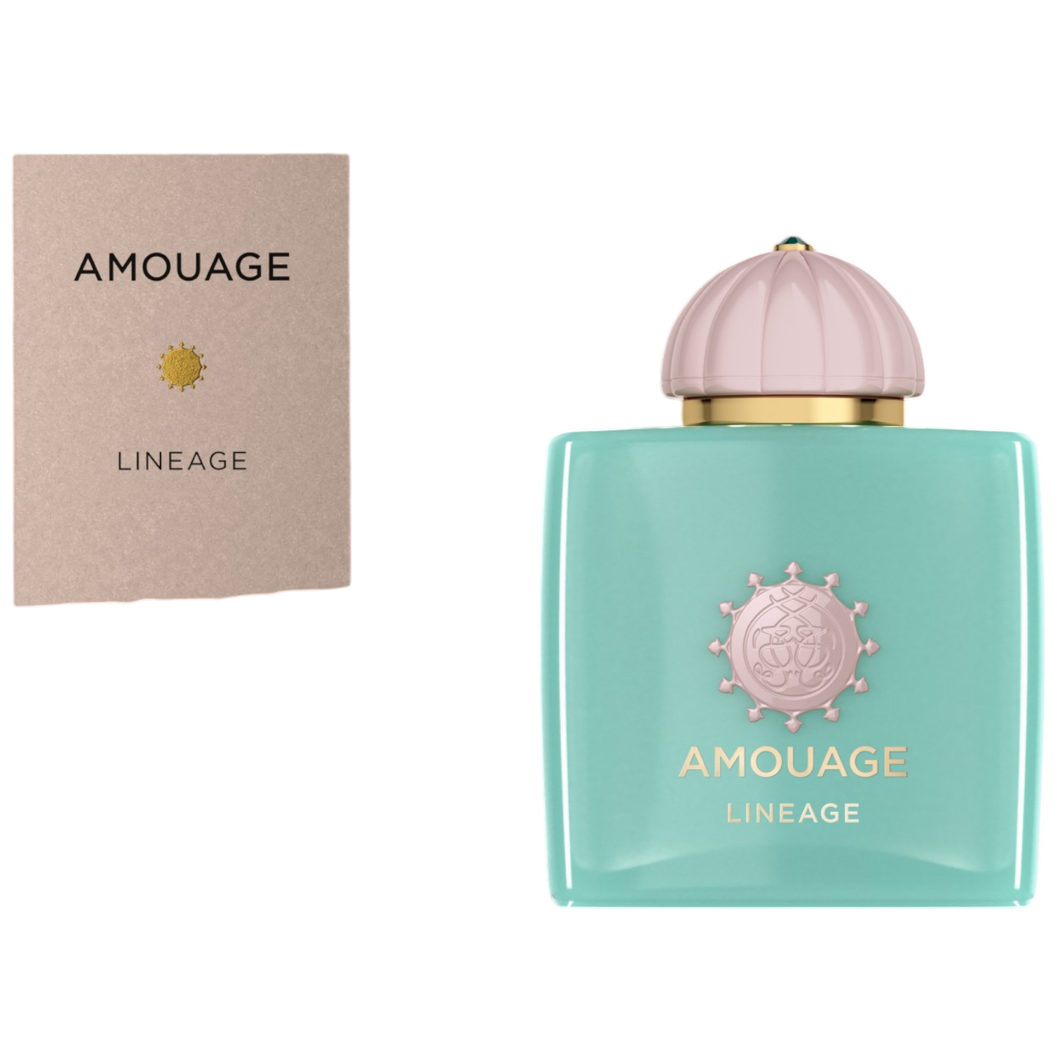 Lineage 100ml EDP