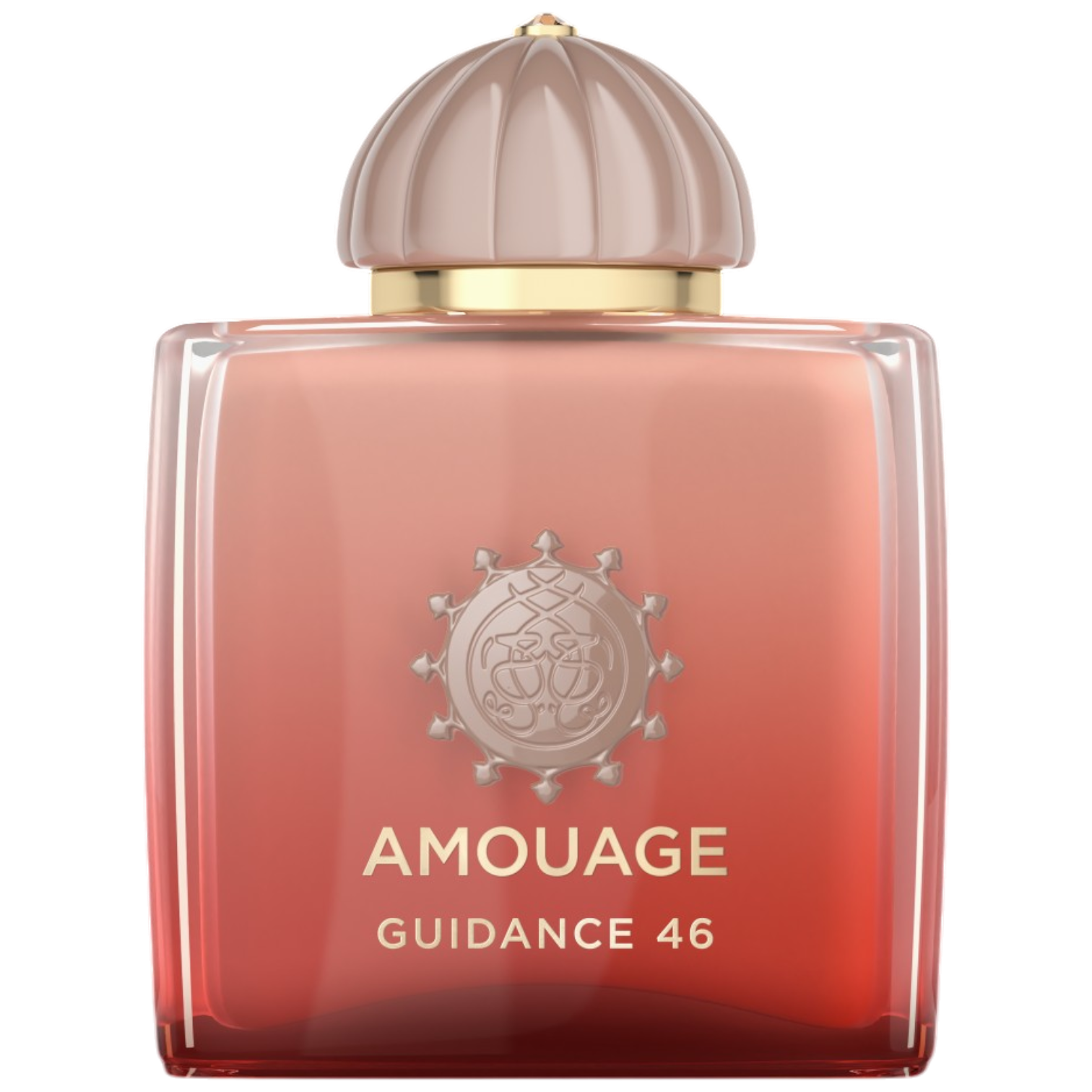 Guidance 46 - 100ml