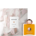 Niche perfumes | Luxury fragrances | Elixir Perfumes Overture Woman amber perfume bottle with rose gold cap