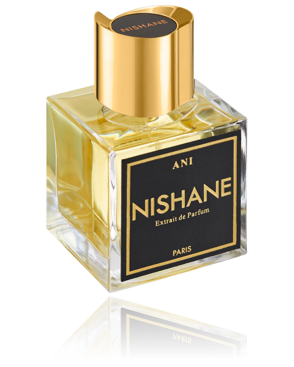 Nishane Ani 100ML