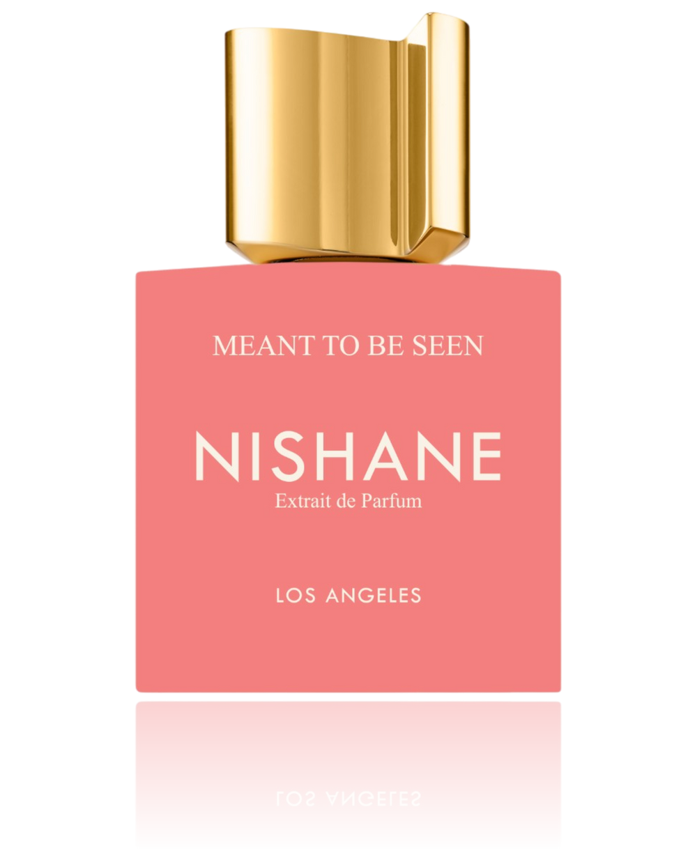 Nishane Meant To Be Seen 50 ML