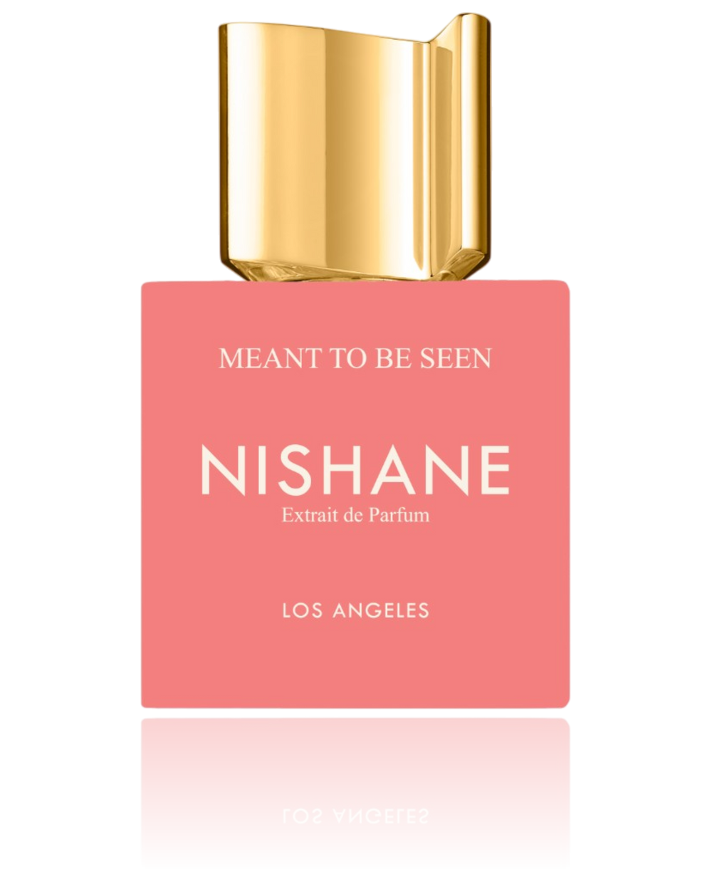 Nishane Meant To Be Seen 100ML