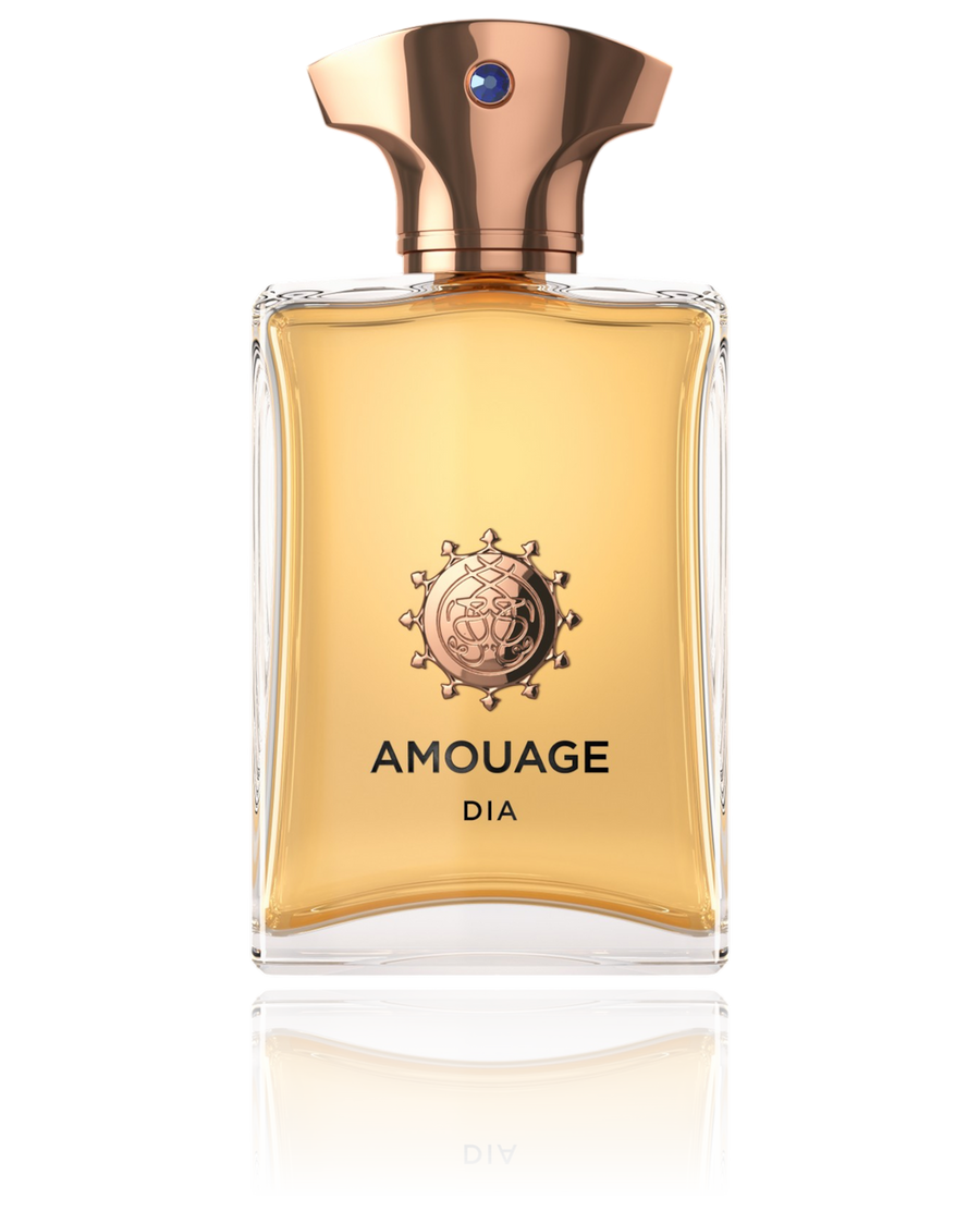 Amouage Dia Men EDP 100ML