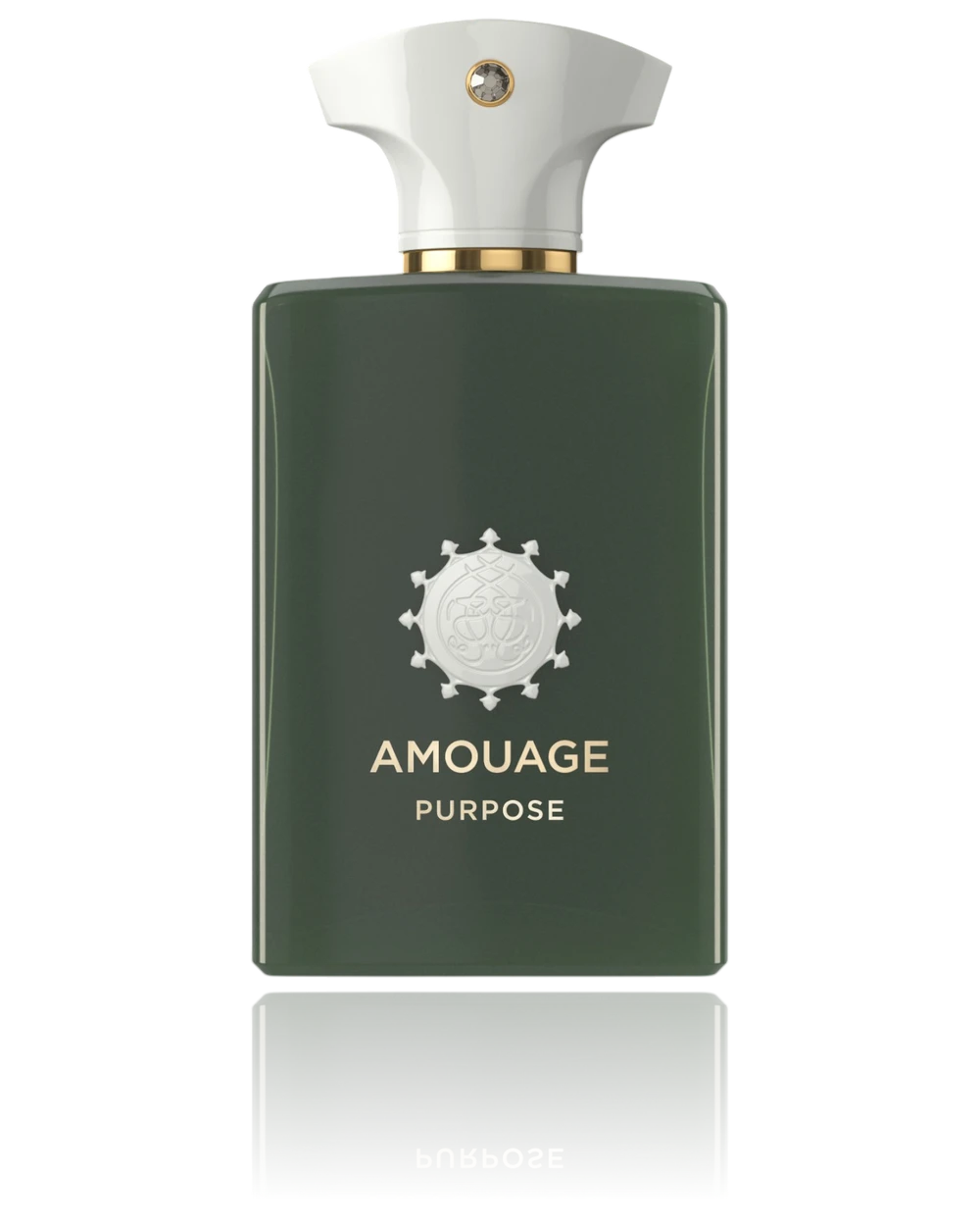 Amouage Purpose 100ML EDP