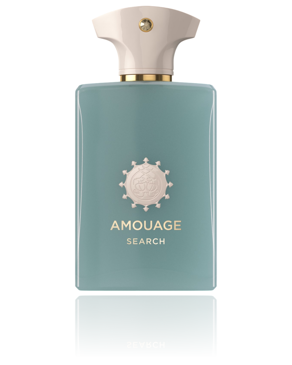 Amouage Search 100ML EDP