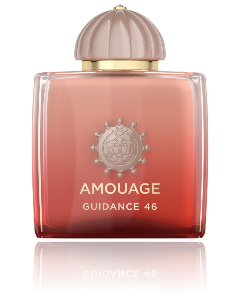 Amouage Guidance 46 - 100ML