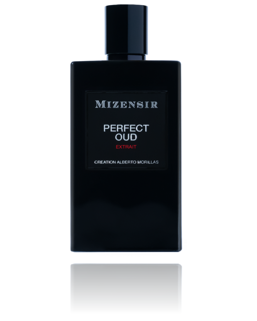 Mizensir Perfect Oud Extrait 100ML EDP Spray