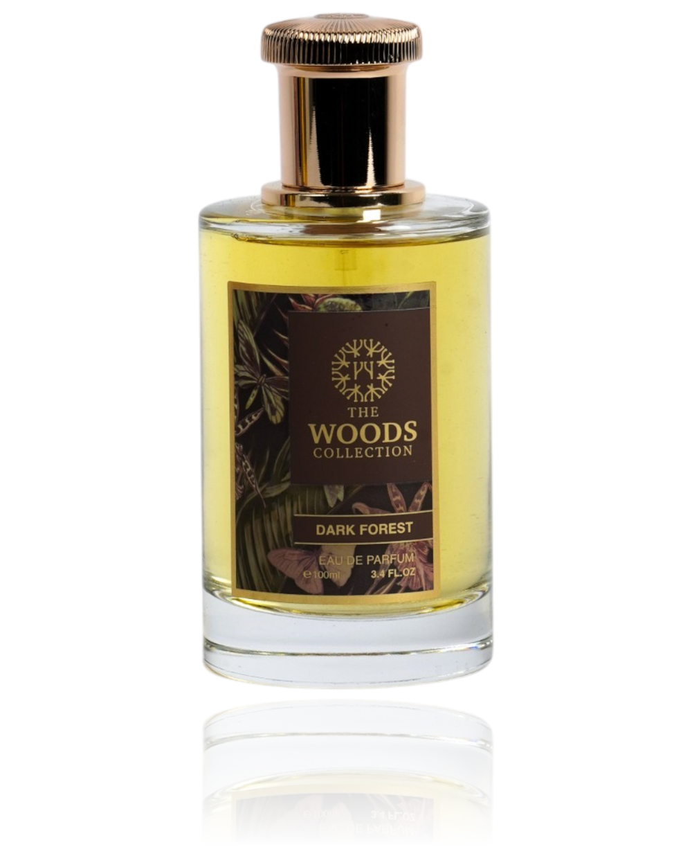 DARK FOREST - 100 ML